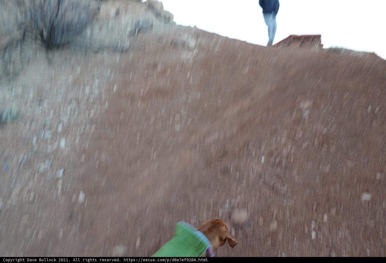 Thrilling Skateboarding Adventure