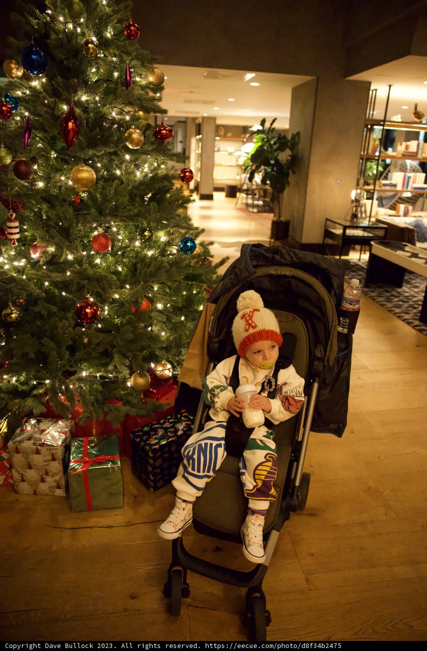A Christmas Moment: Teddy's Stroller Adventure