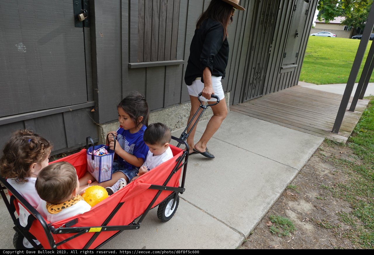 An Afternoon Stroll: A Tale of Family and Laughter