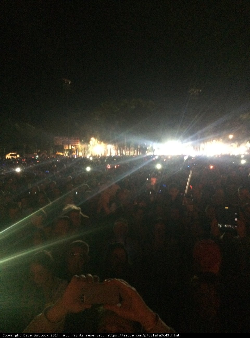 Nighttime Crowd Gathers for Concert