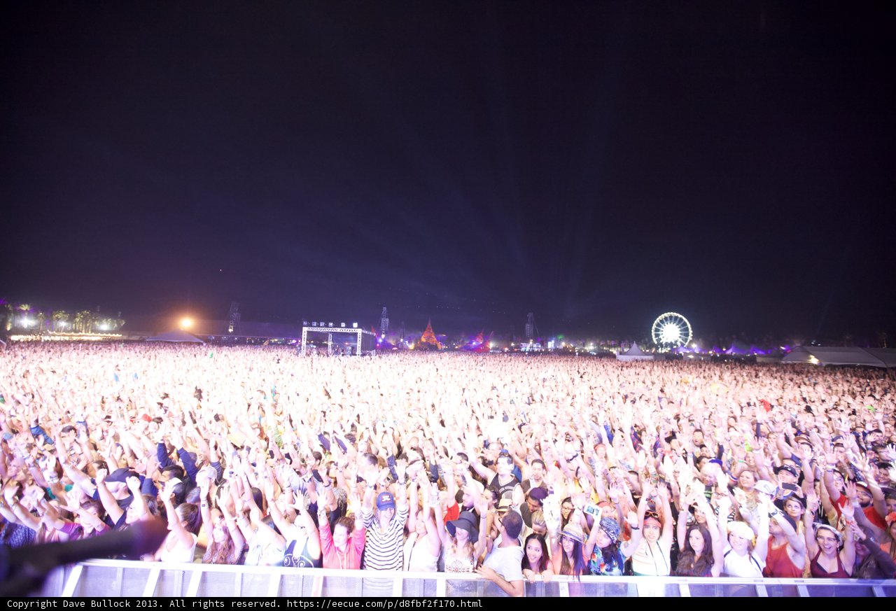 The Electric Crowd at Coachella