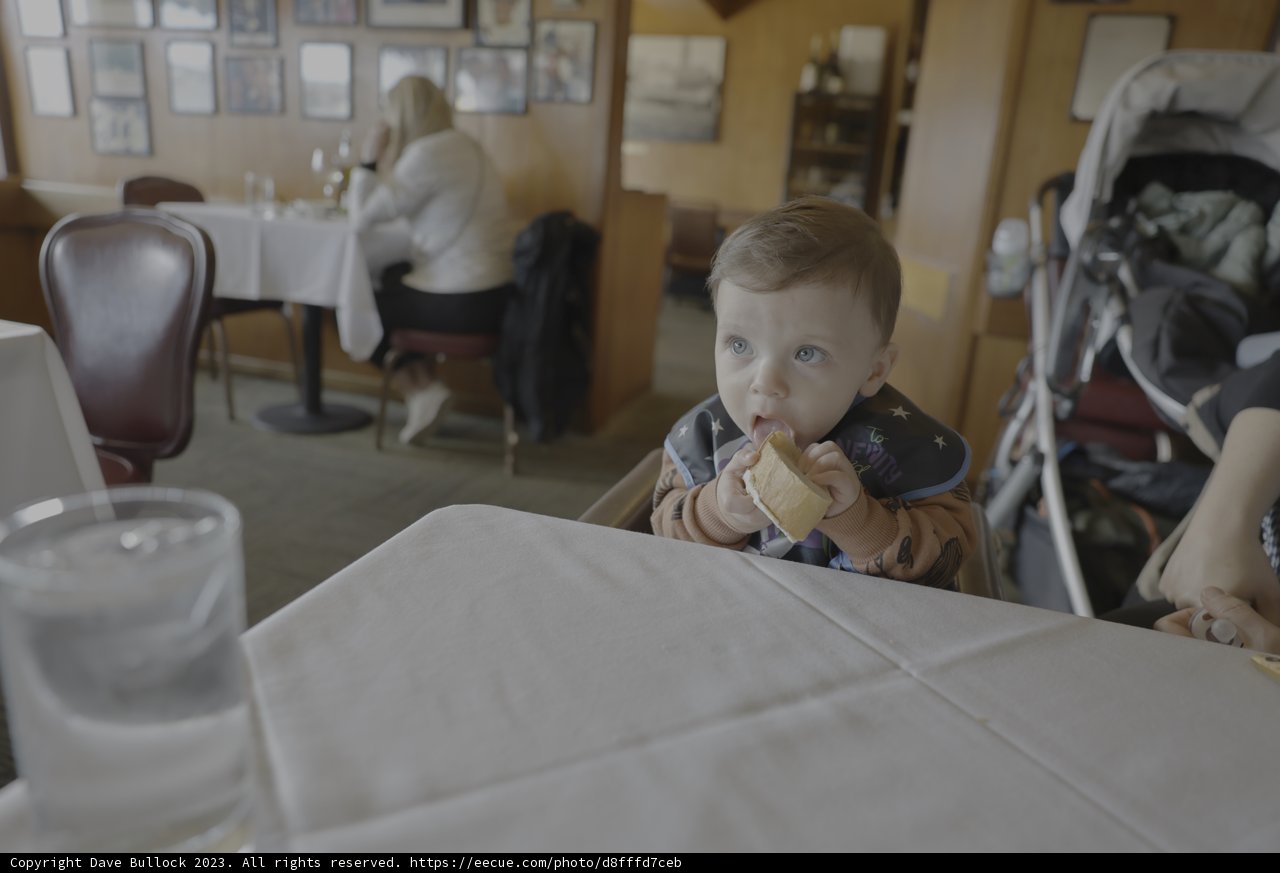 Dining with Baby