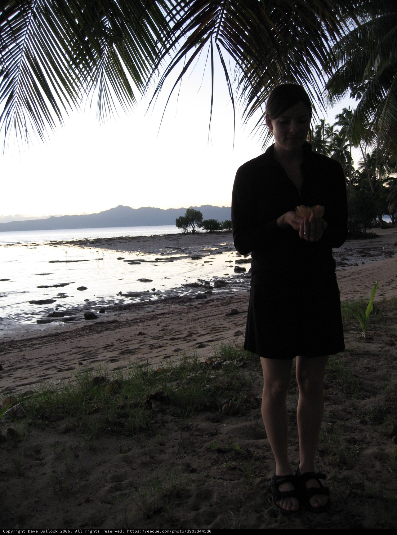 Twilight Silhouette on a Tropical Fiji Beach
