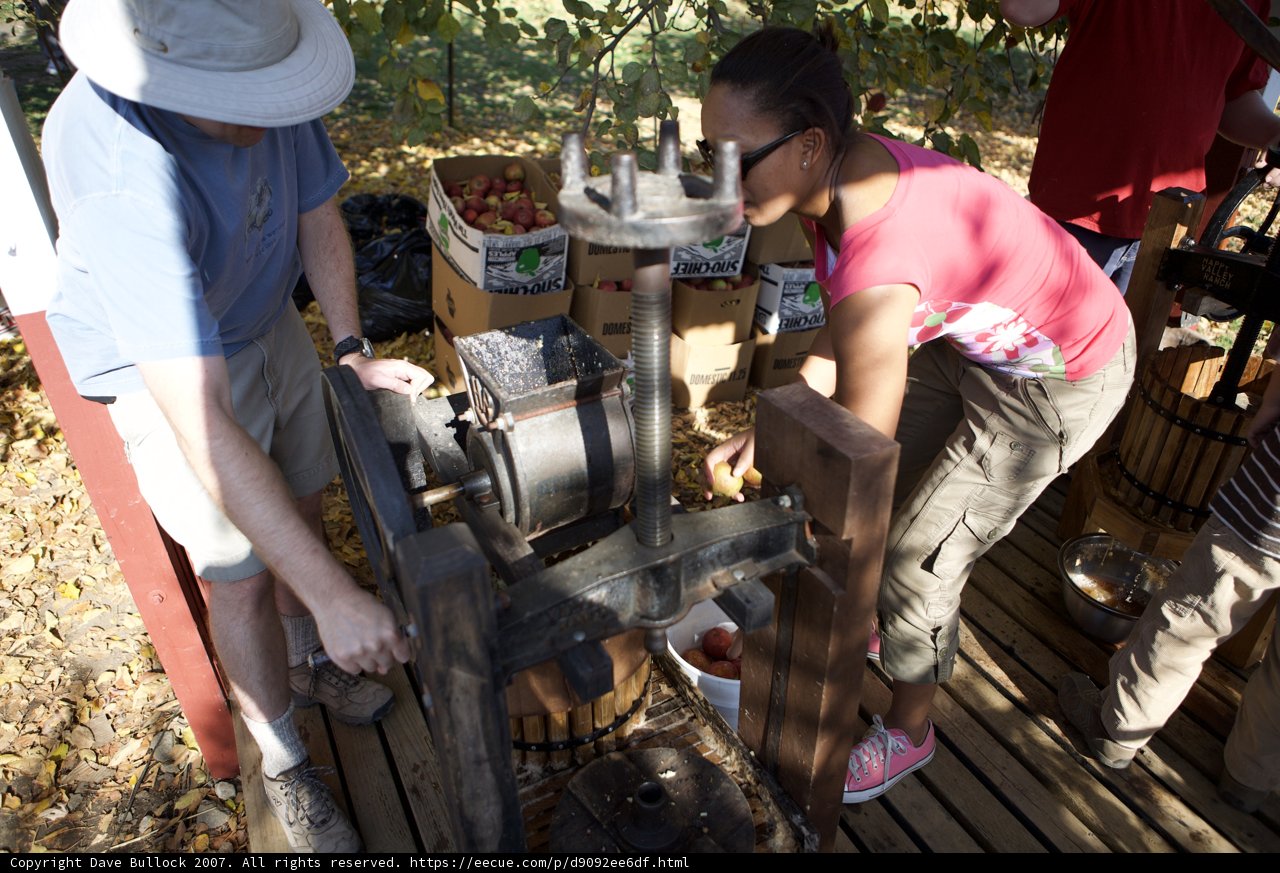 Working on the Apple Sorting Machine