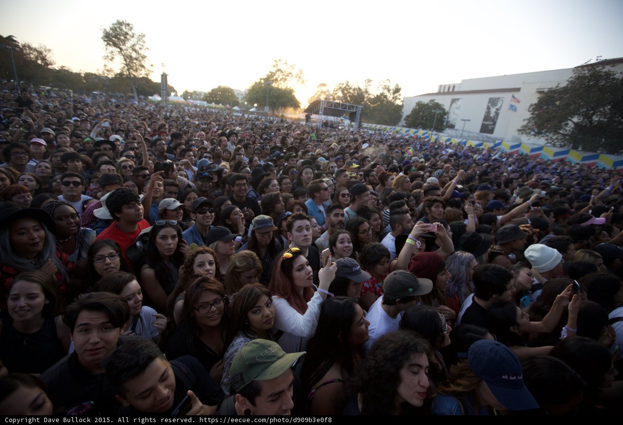 Sea of Festival Faces