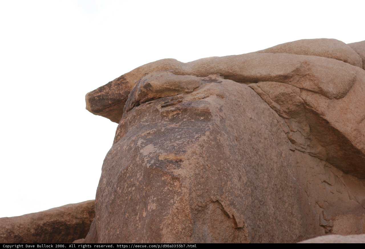 Majestic Bird on the Megalith