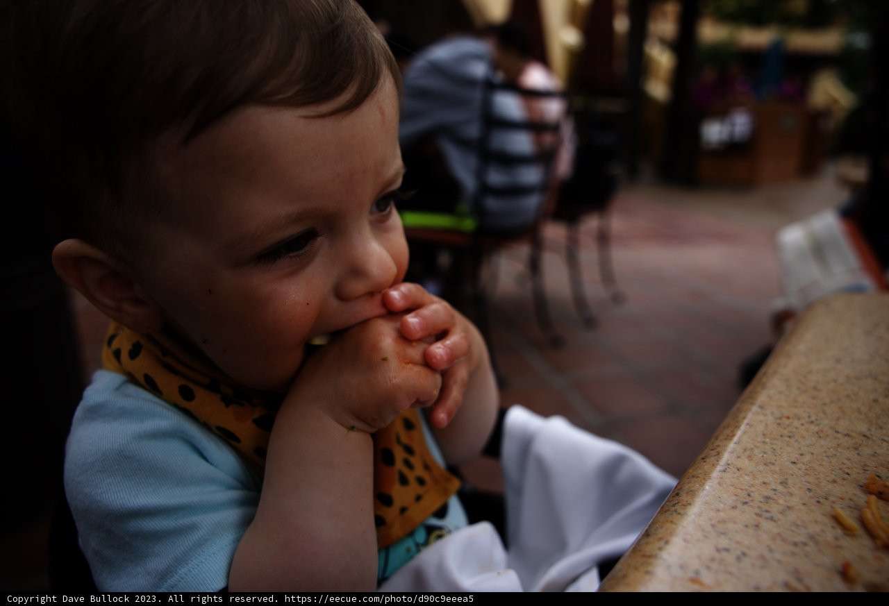 A Delightful Bite at Disneyland