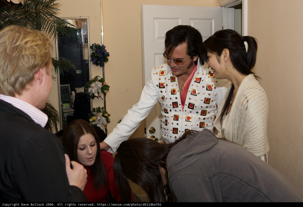 The White Suited Wedding Guest
