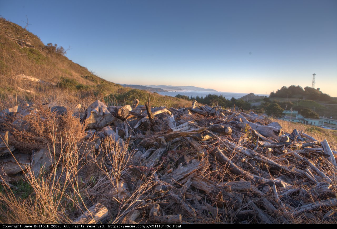 Woodpile Wilderness