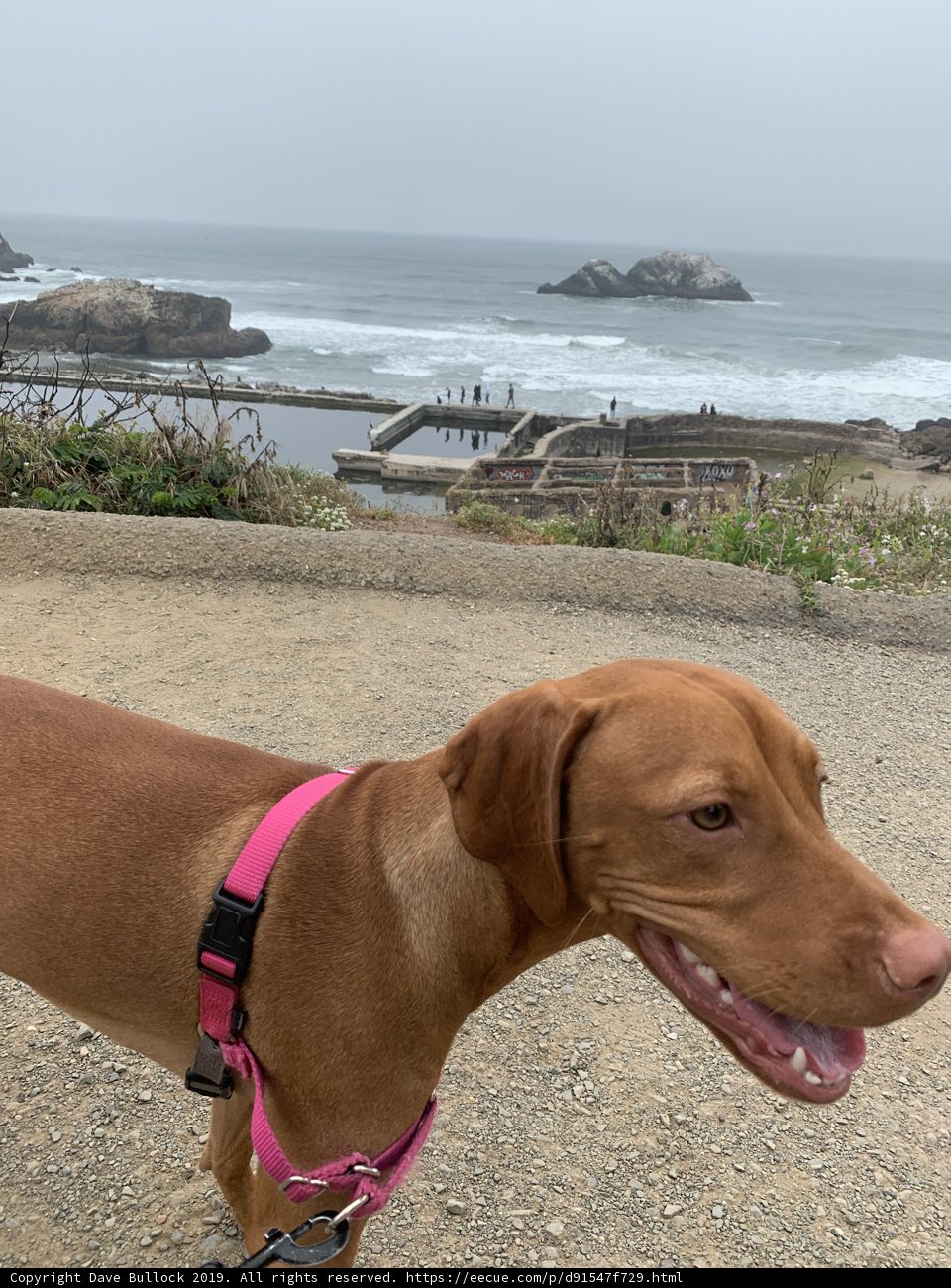Pretty in Pink