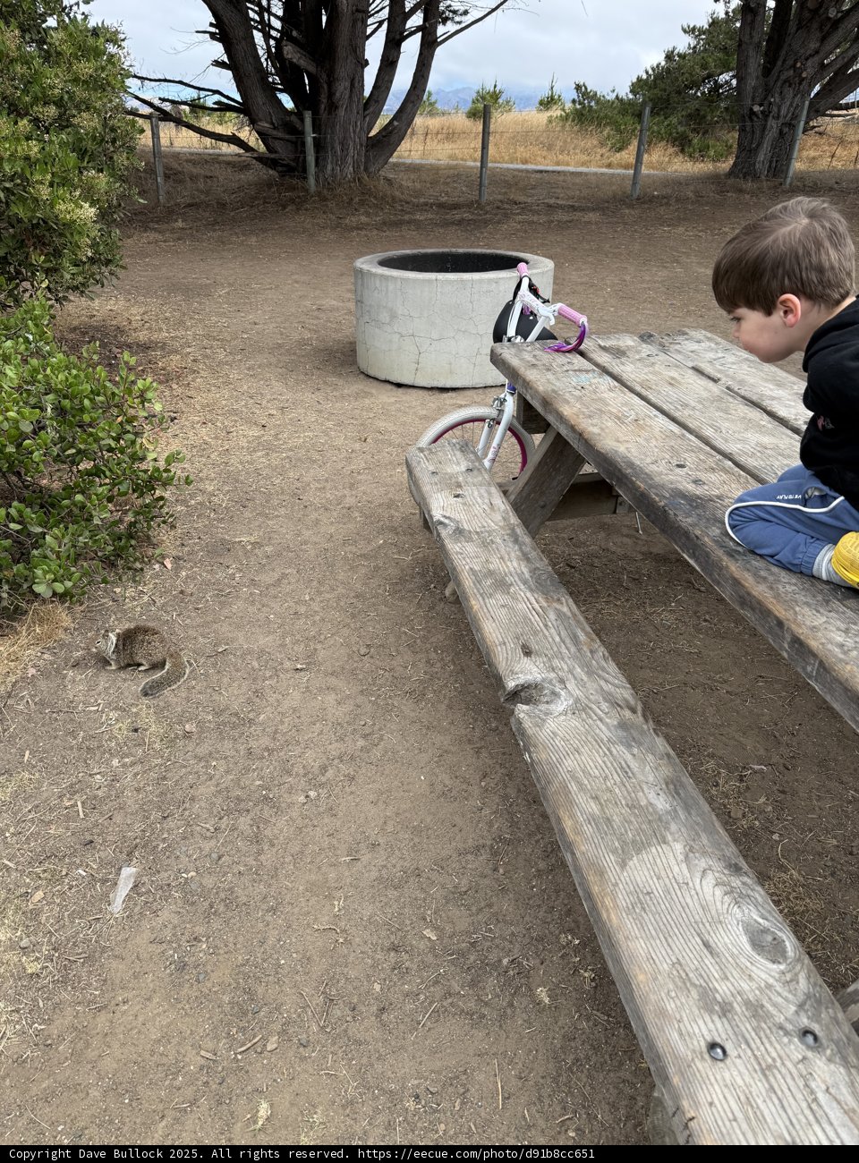 Curious Encounters in Cambria
