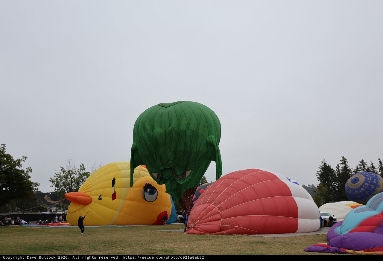 Giant Novelty Balloons Inflate at Sonoma County Classic