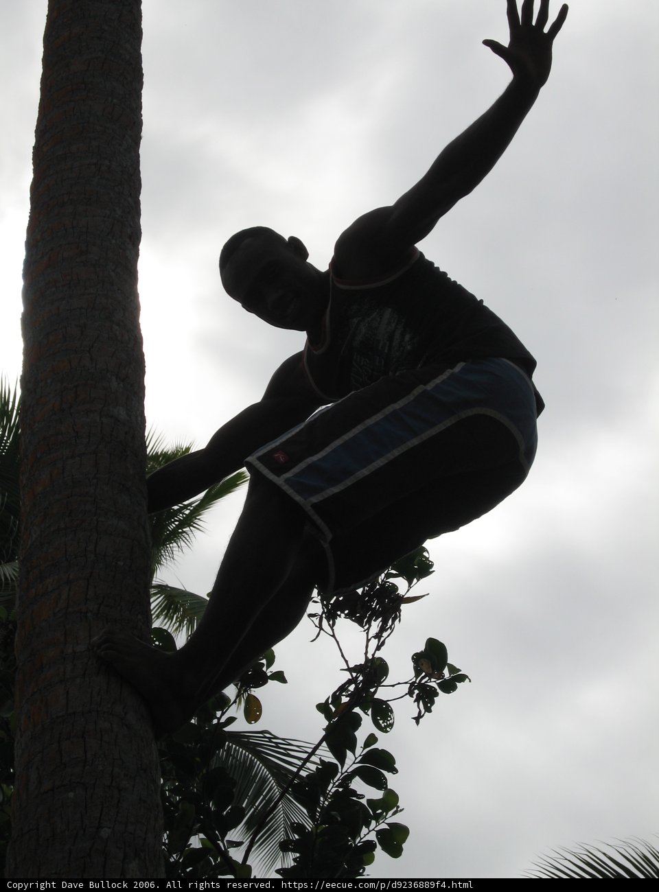 Scaling New Heights