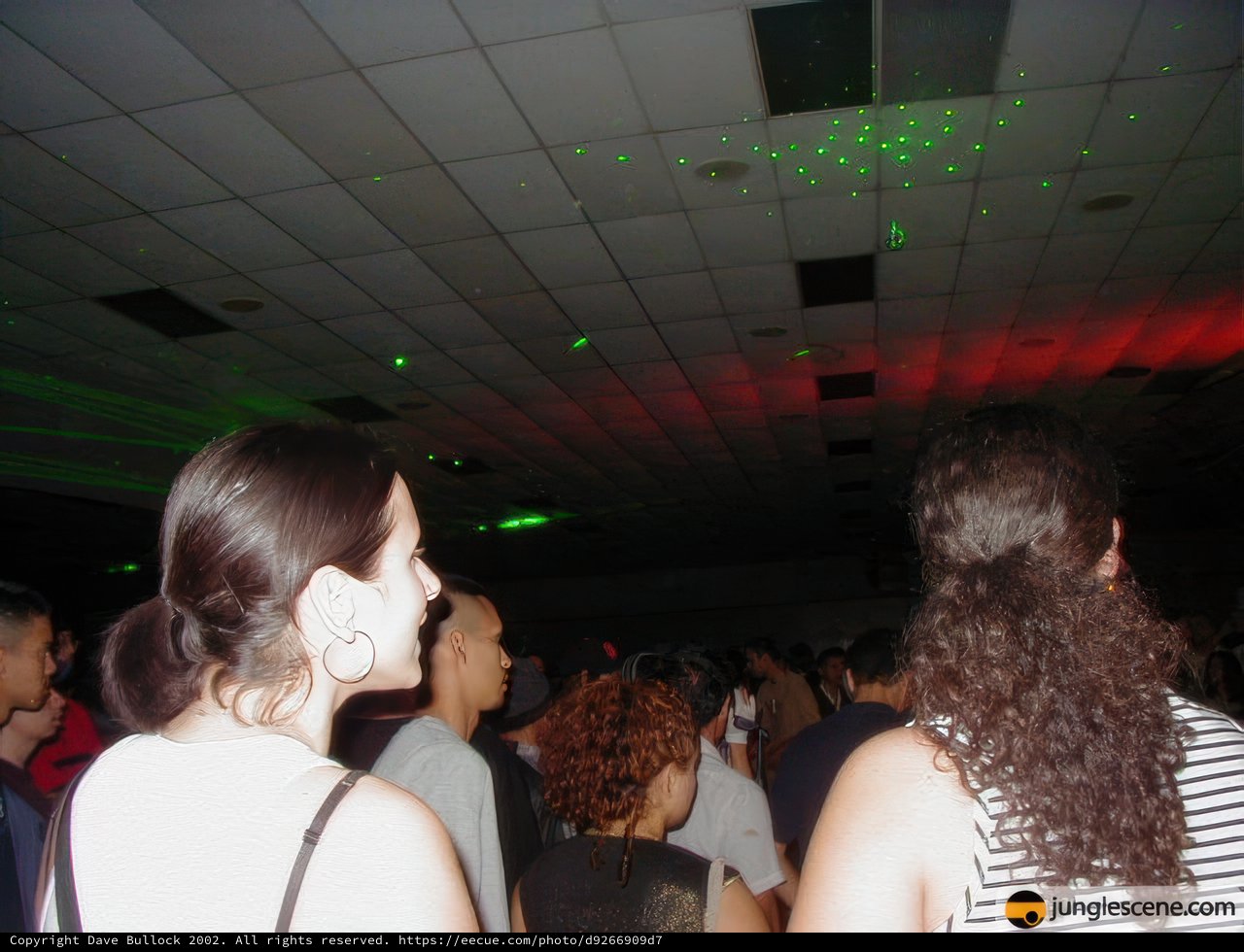 Nightclub Fun under Disco Lights