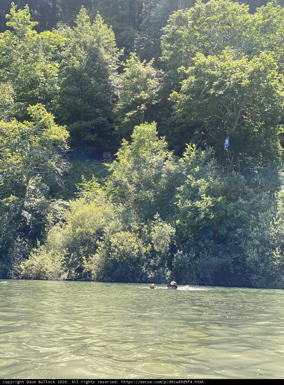 Floating in the Woodland Waters