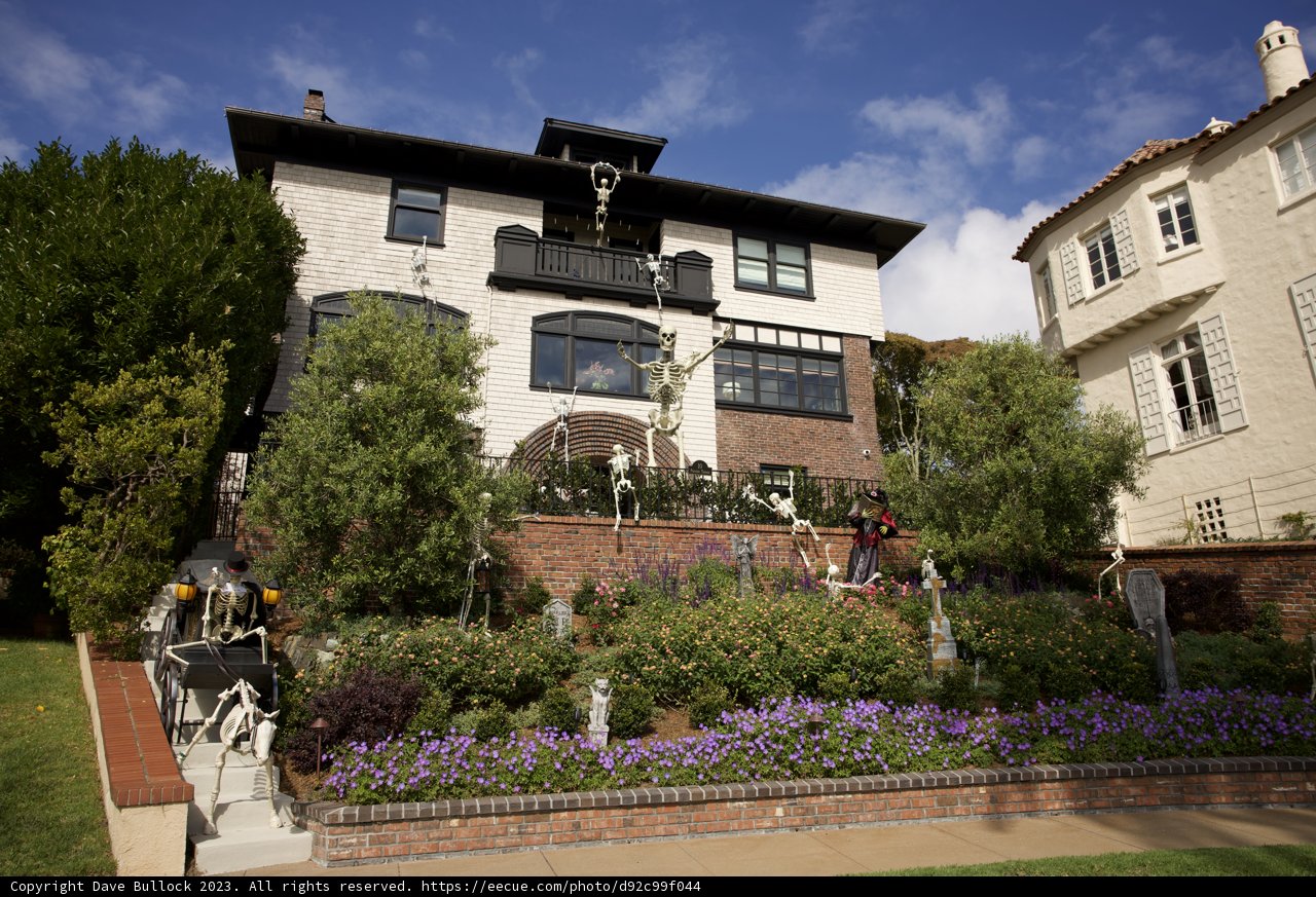 Grandeur of Residential San Francisco”