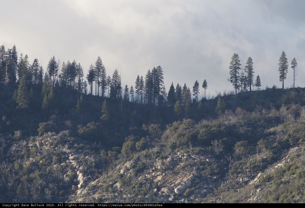 Wildfire Smoke Rising Above Mountain Forest Ridge