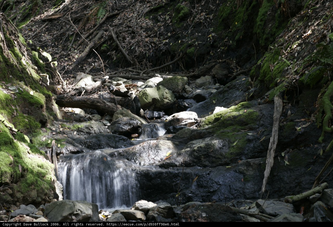 Serene Waterfall in the Heart of the Forest