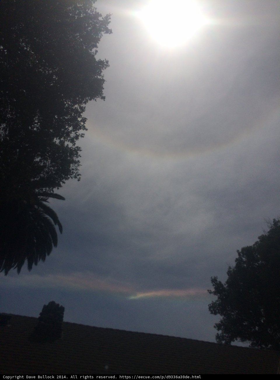 Rainbow Halo in the Sky