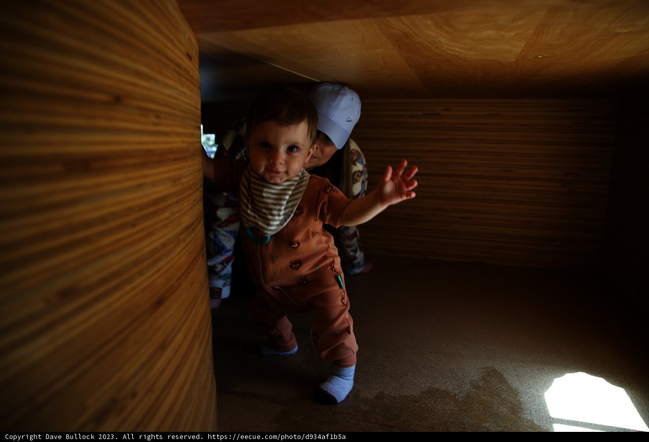 Wesley's Wooden Wonderland