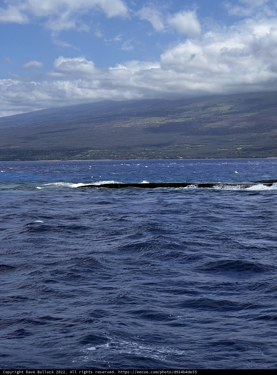 Surging Waves in the Alalakeiki Channel