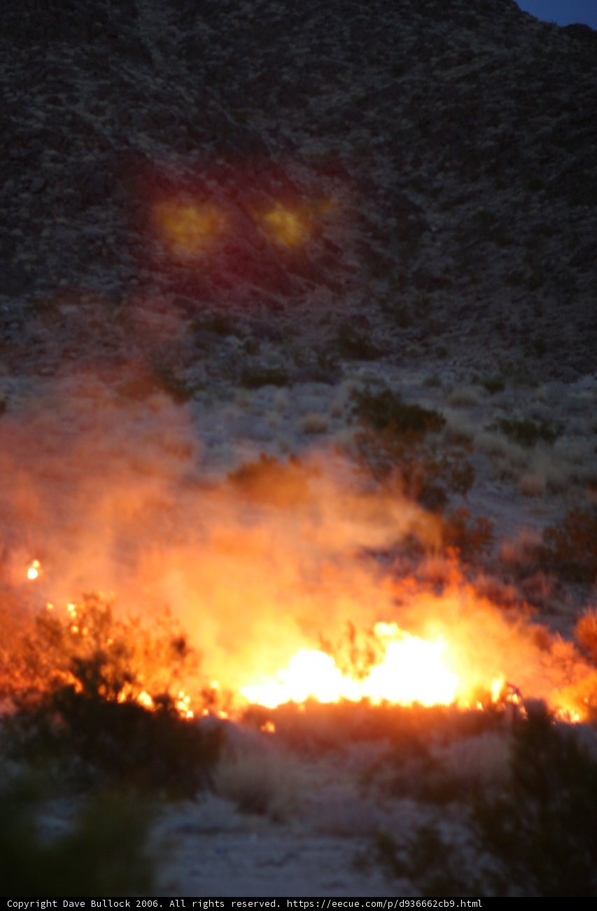 The Orange Face of E-QVR 2006
