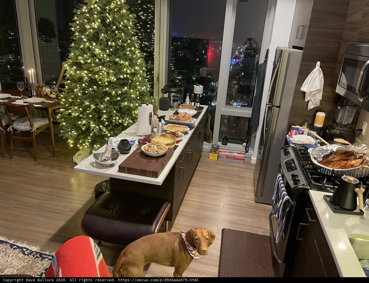 Festive Pup in the Kitchen