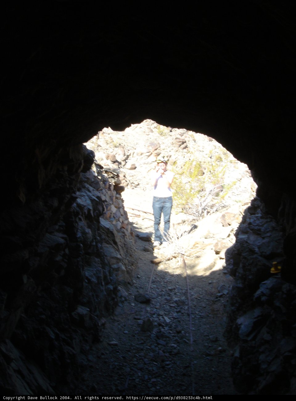 Cave Explorer