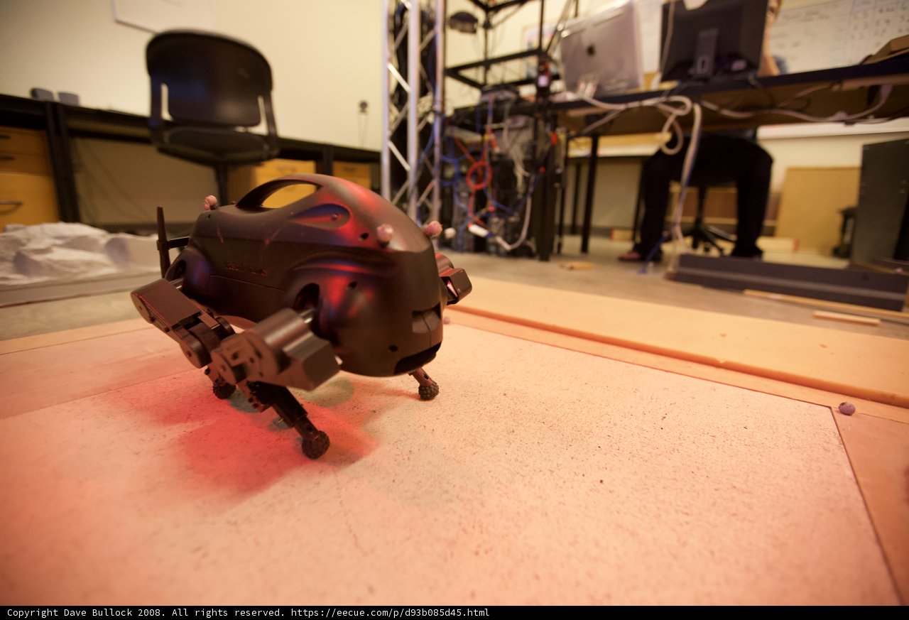 Robotic Companion