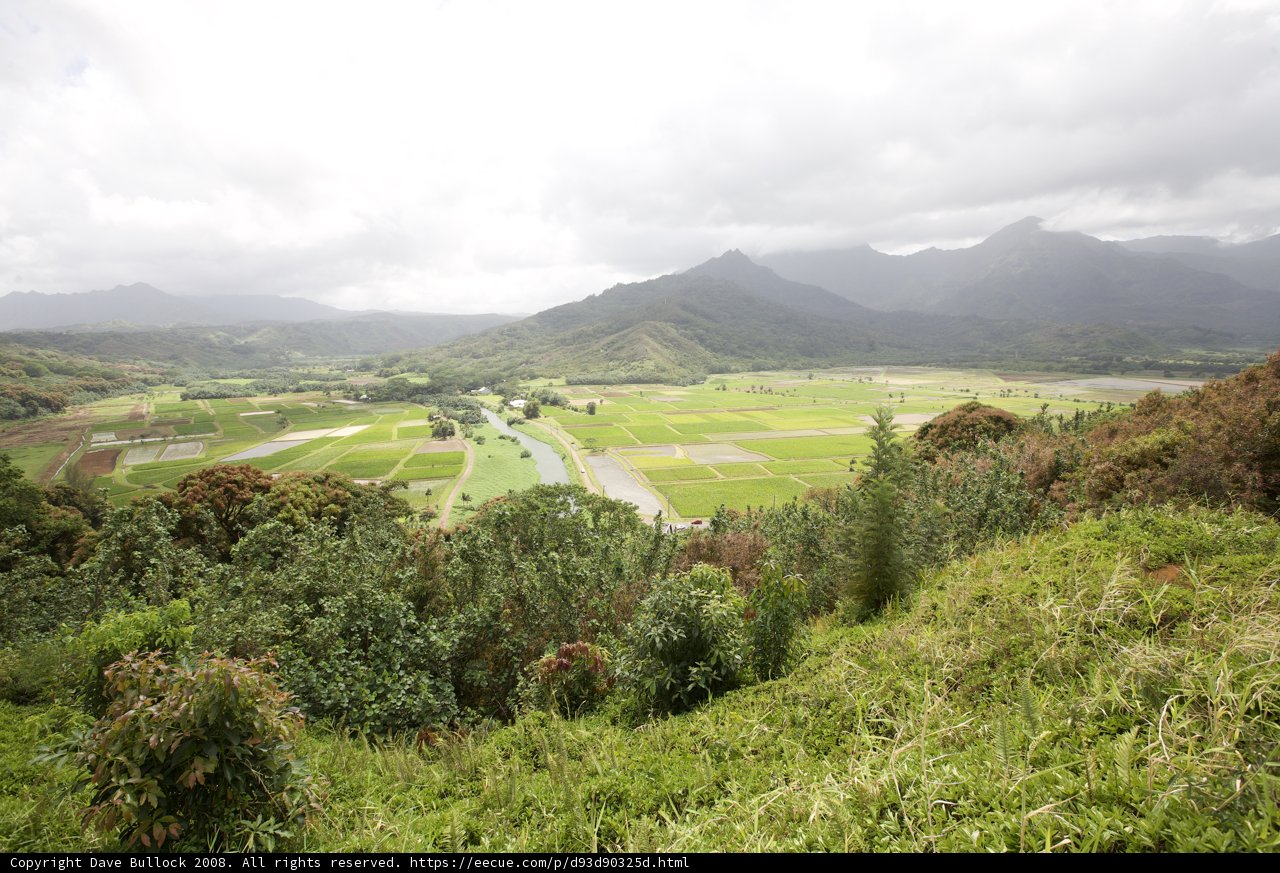 Overlooking the Majestic Valley and Mountains