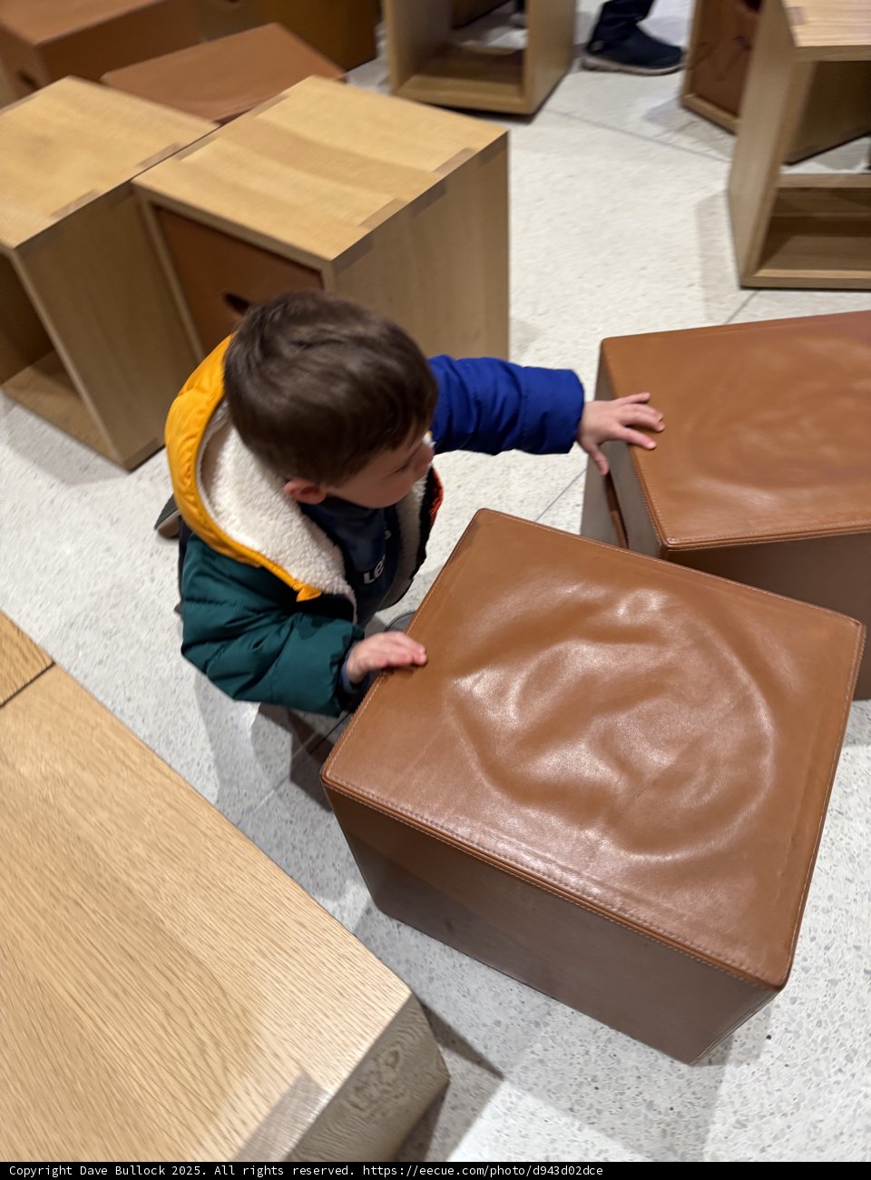 Exploring the World of Wood