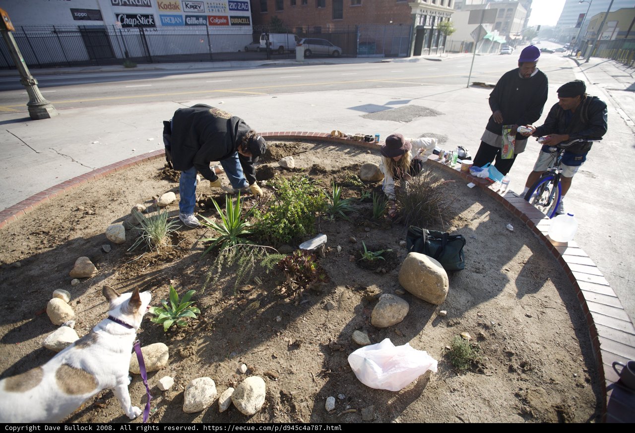 Planting a Pathway Garden