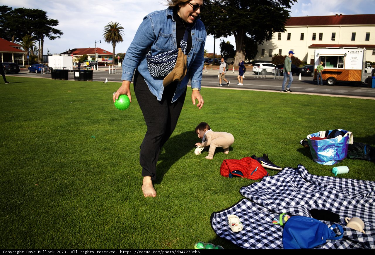 Serene Day at the Presidio Park: Woman's Playful Encounter with a Dog