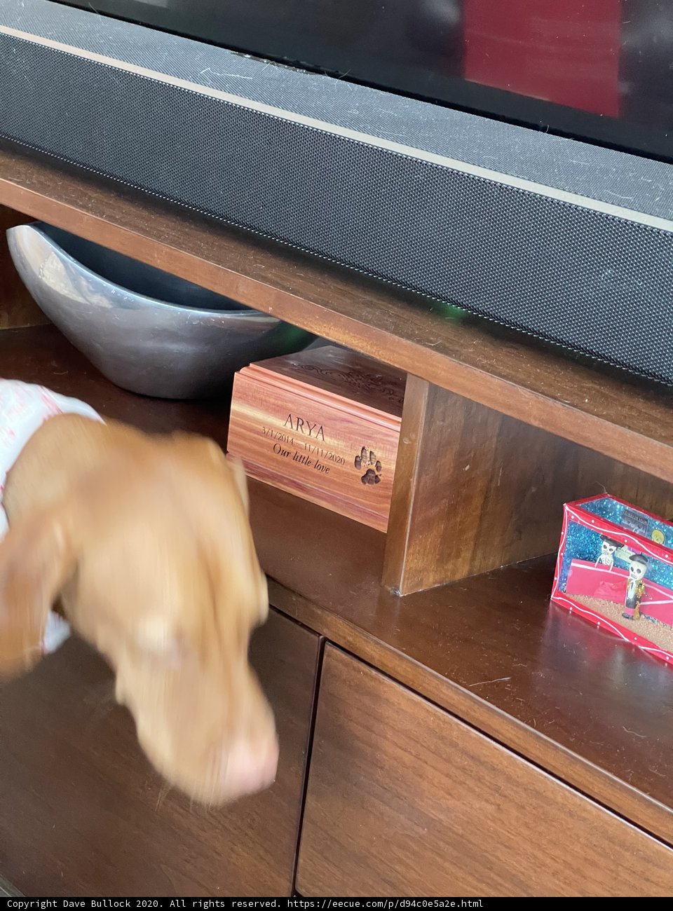 The Canine Decorator