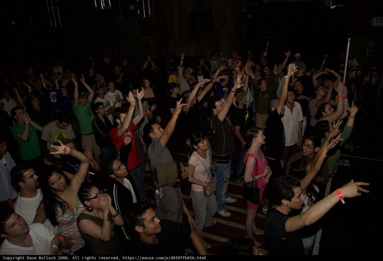 Electric Crowd in the Nightlife Scene