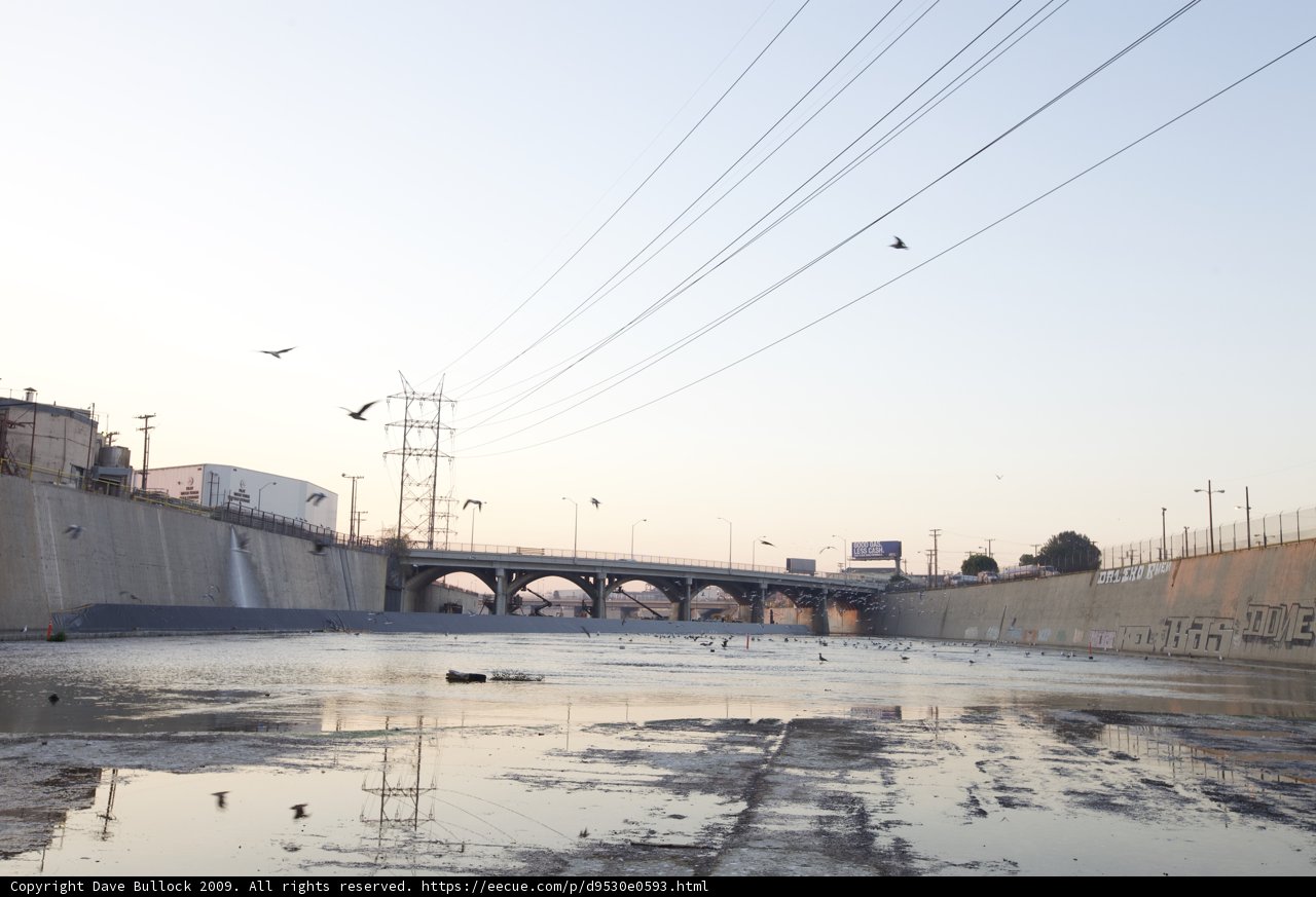 Aerial View of Birds over LA River with Power Lines