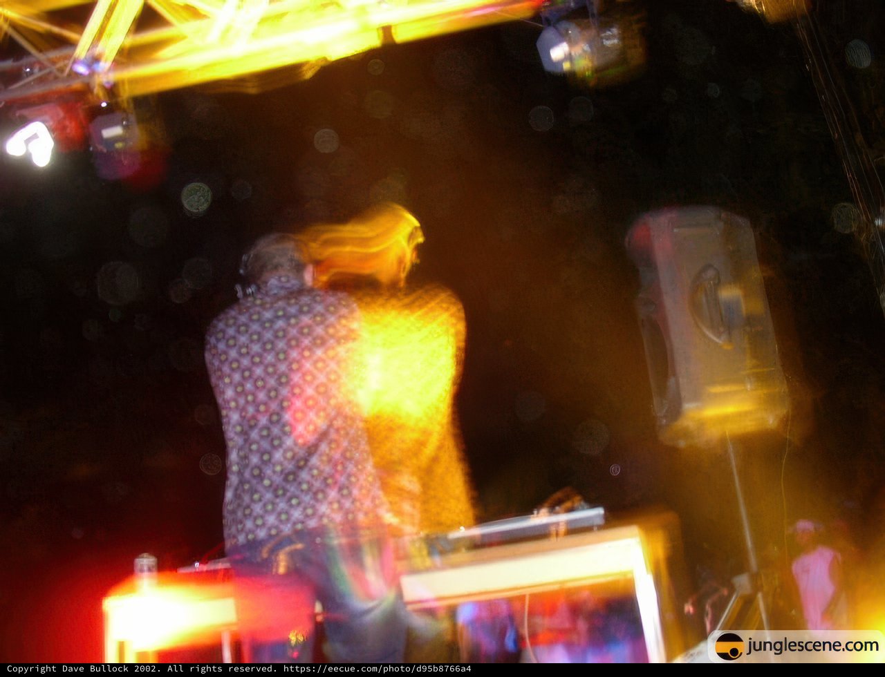 Summer Night Club Performance