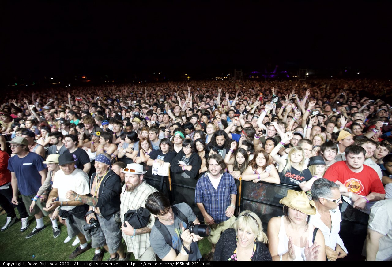 Coachella Night Lights