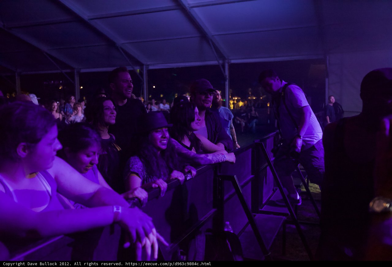 Purple Haze at Coachella