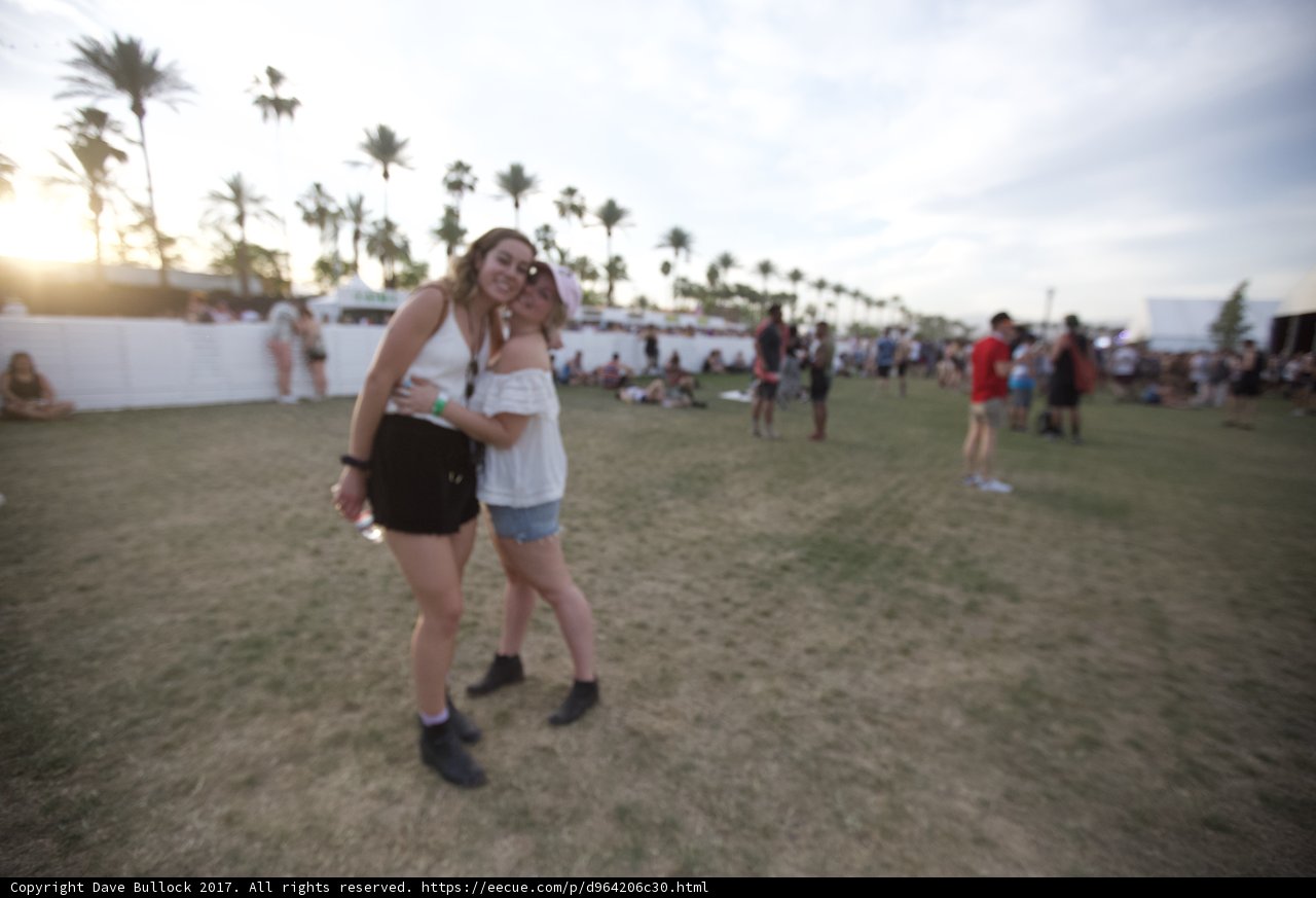 Festival Friends