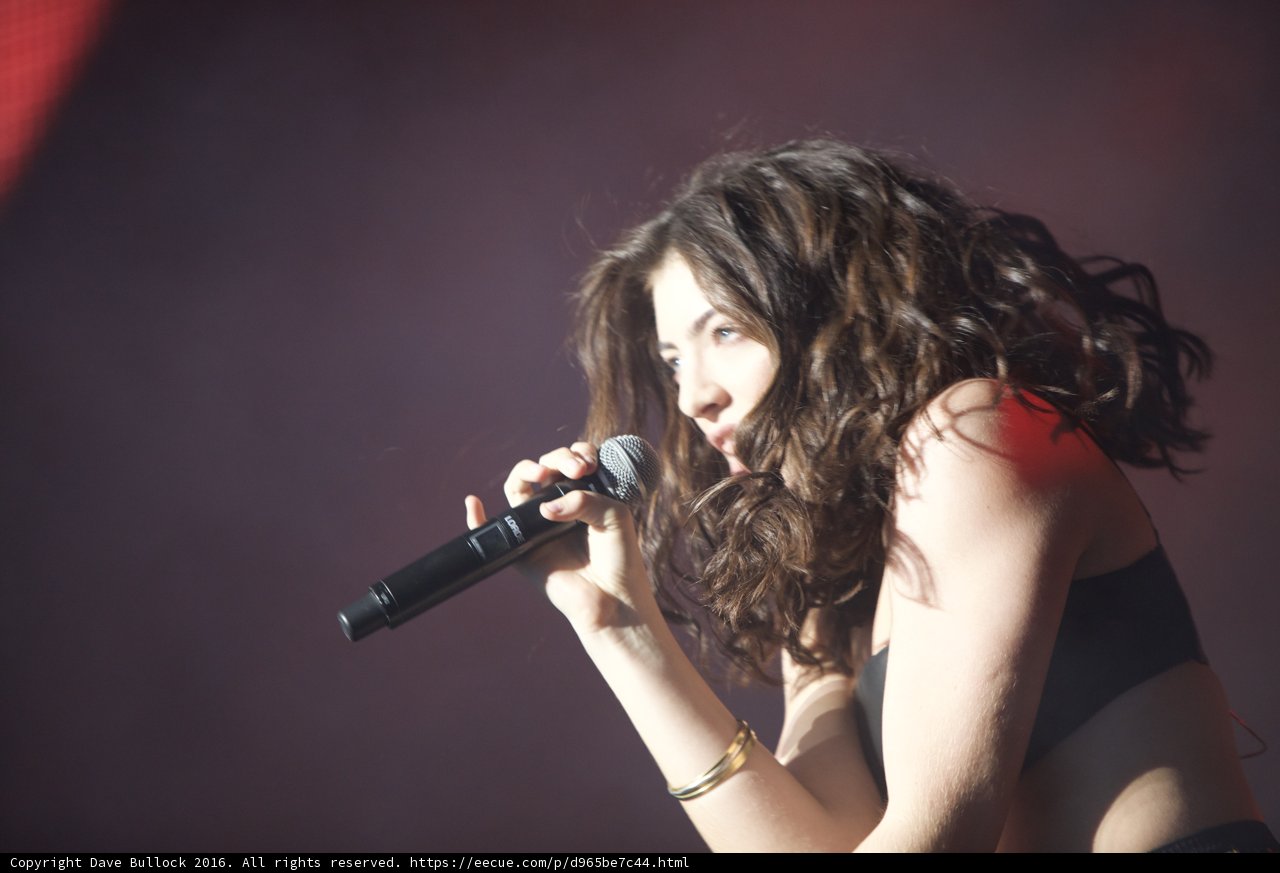 Lorde's Solo Performance