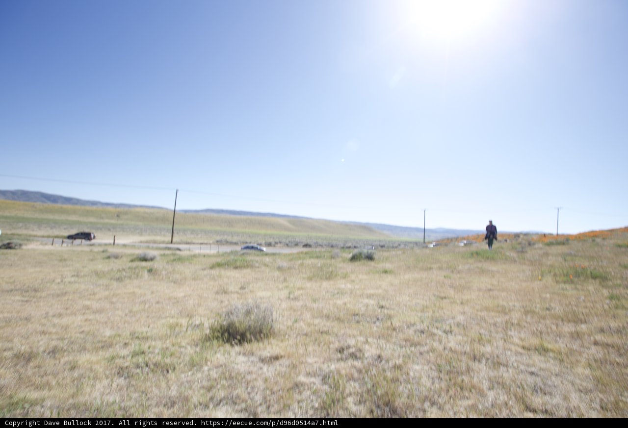 Walking through a Blue Sky Field
