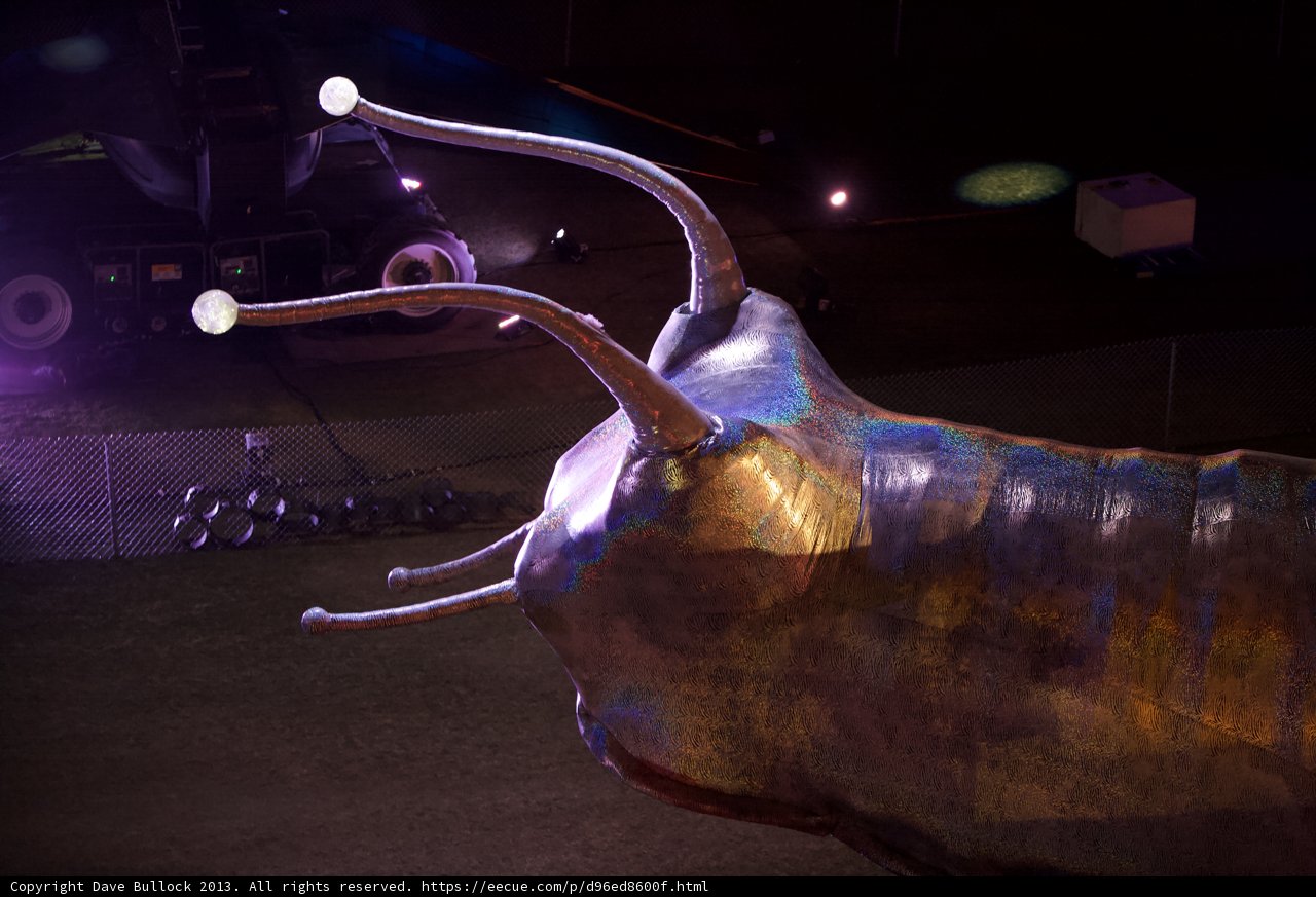 The Majestic Bull on Stage