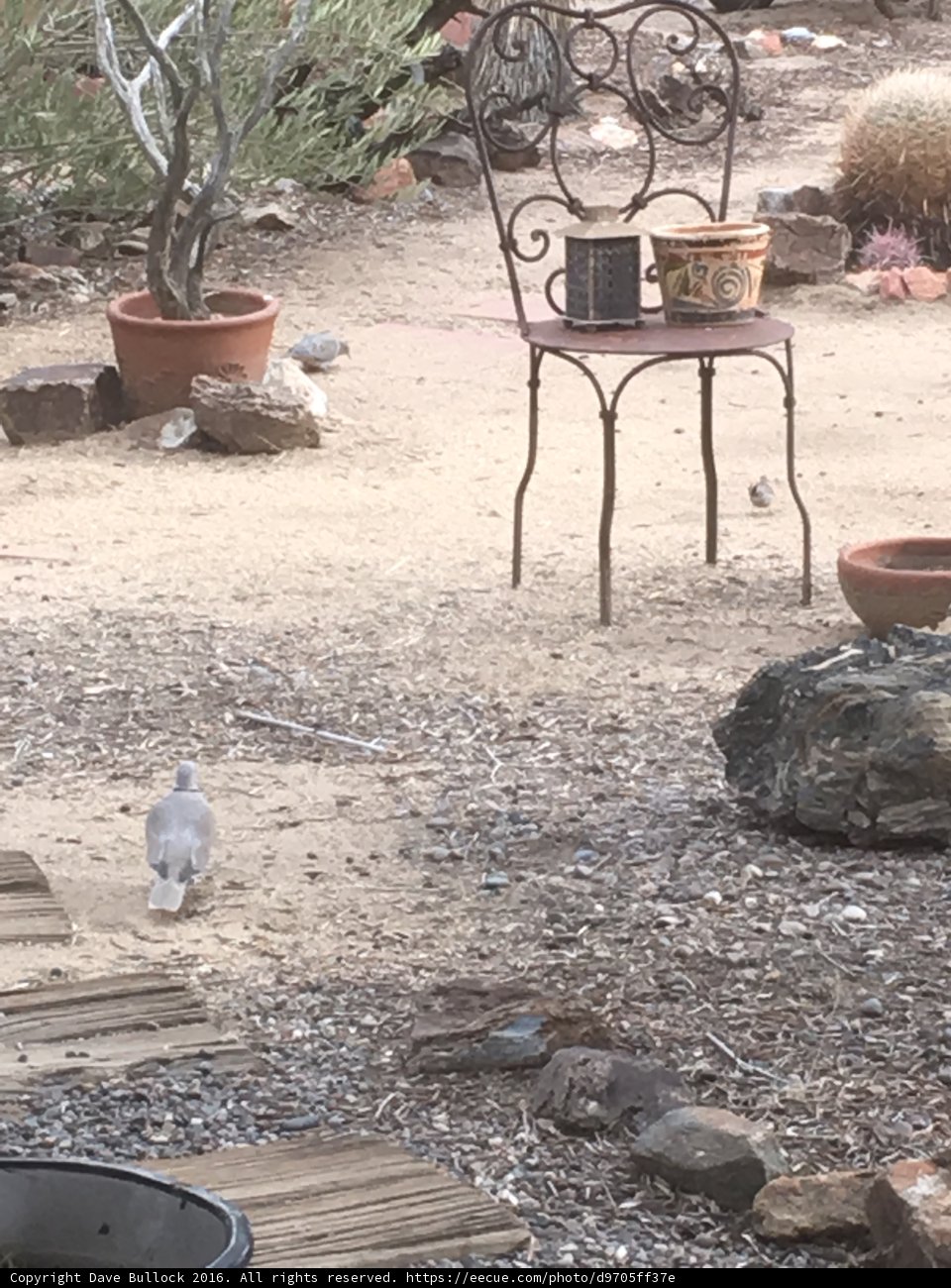 Avian Seating