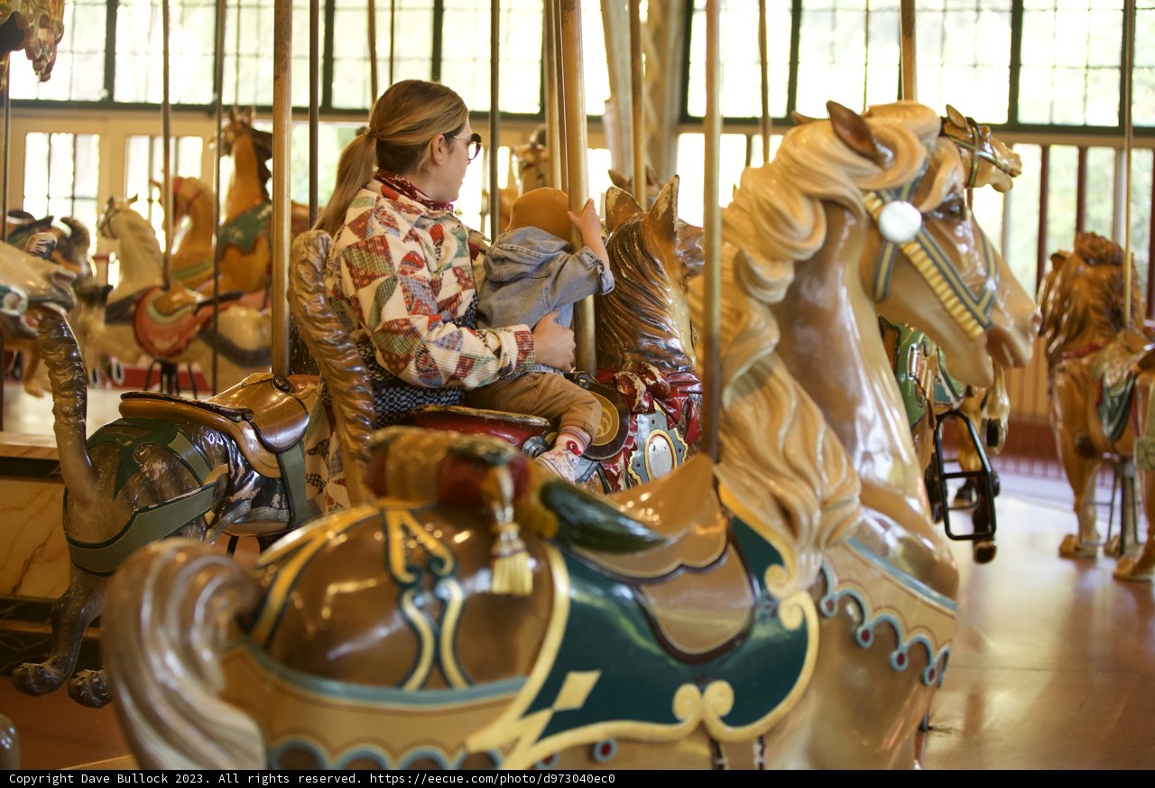 Carousel Ride at the SF Zoo