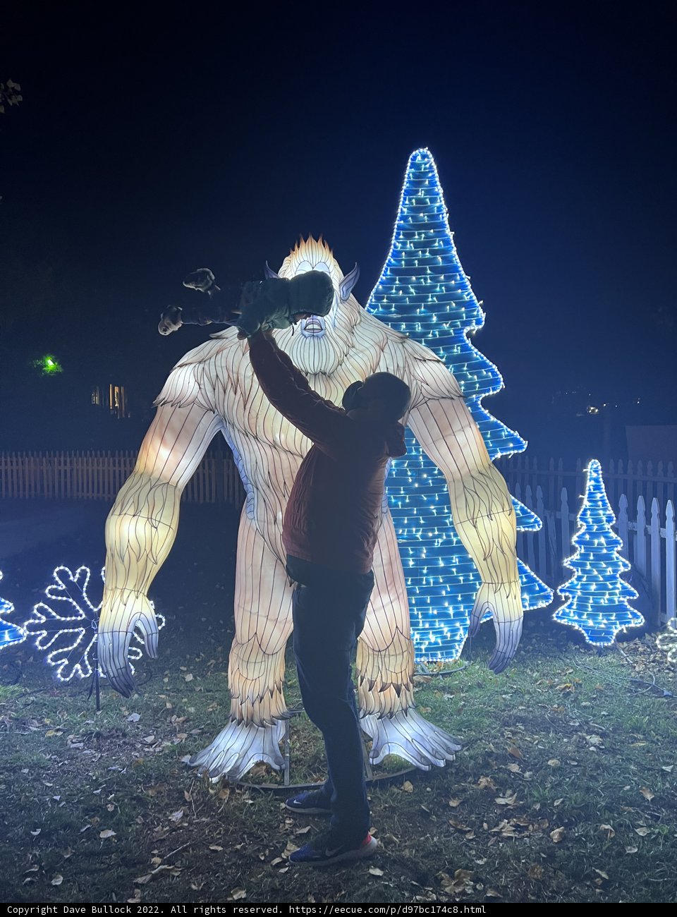 Nighttime Magic at the Oakland Zoo