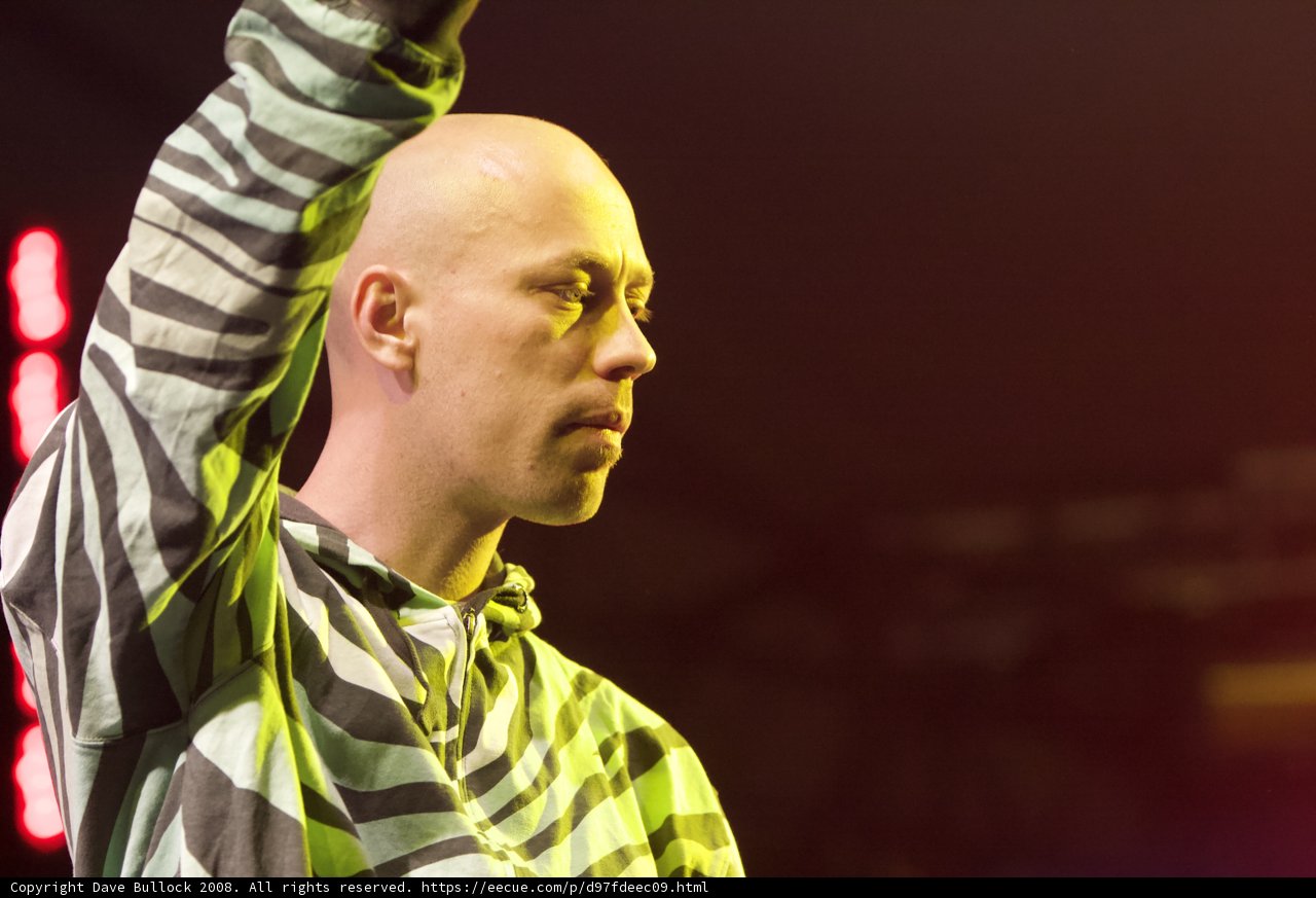 Bald Man with Energetic Crowd at Coachella