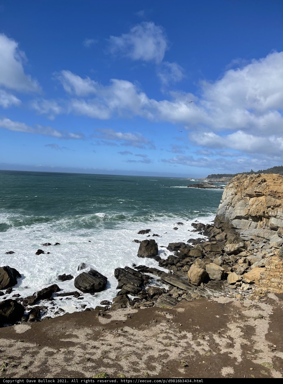 Coastal Beauty