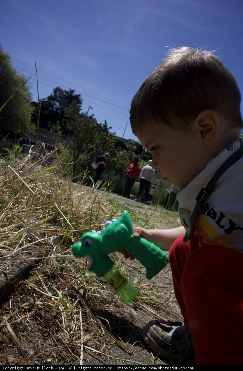 Young Explorer at Play