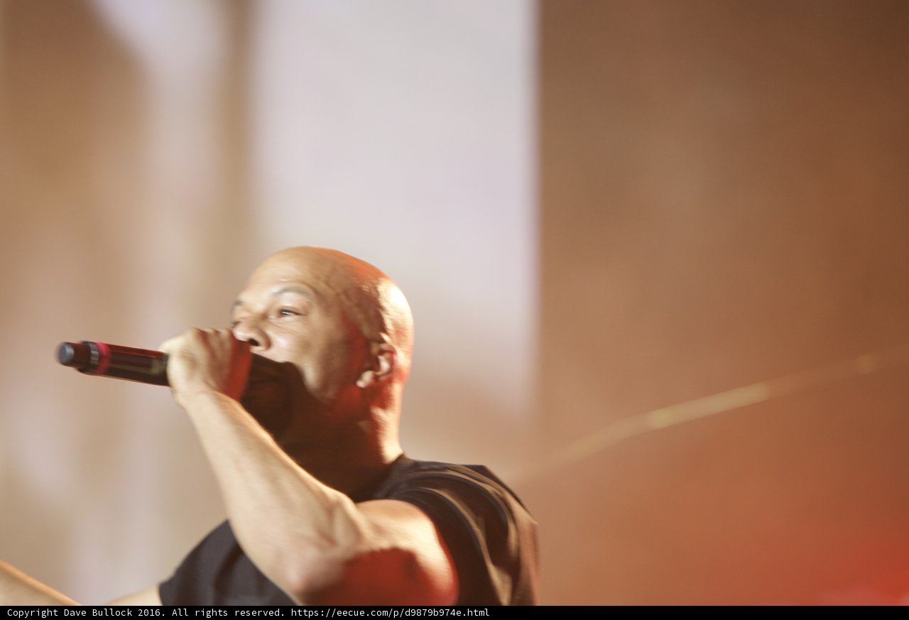 Common's Commanding Performance